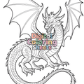 Fire-Breathing Dragon Coloring Page – Fierce Western Dragon Printable Line Art for Adults
