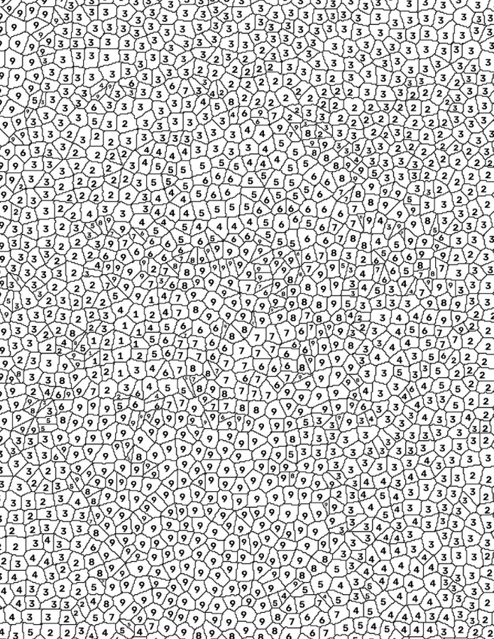 Generated mystery coloring page