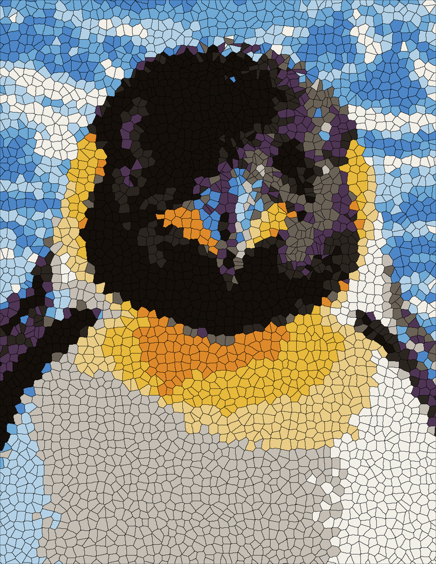 Emperor Penguin portrait mystery color by number finished colored answer
