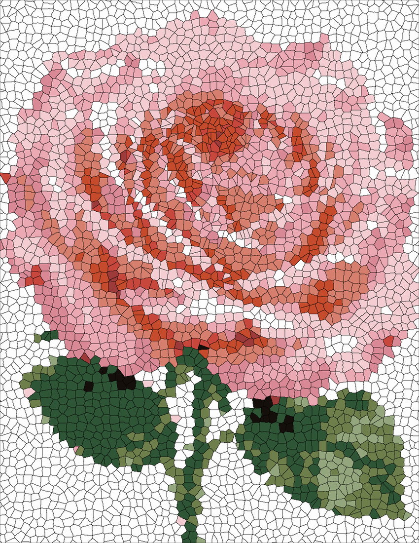 English Rose mystery color by number finished colored answer