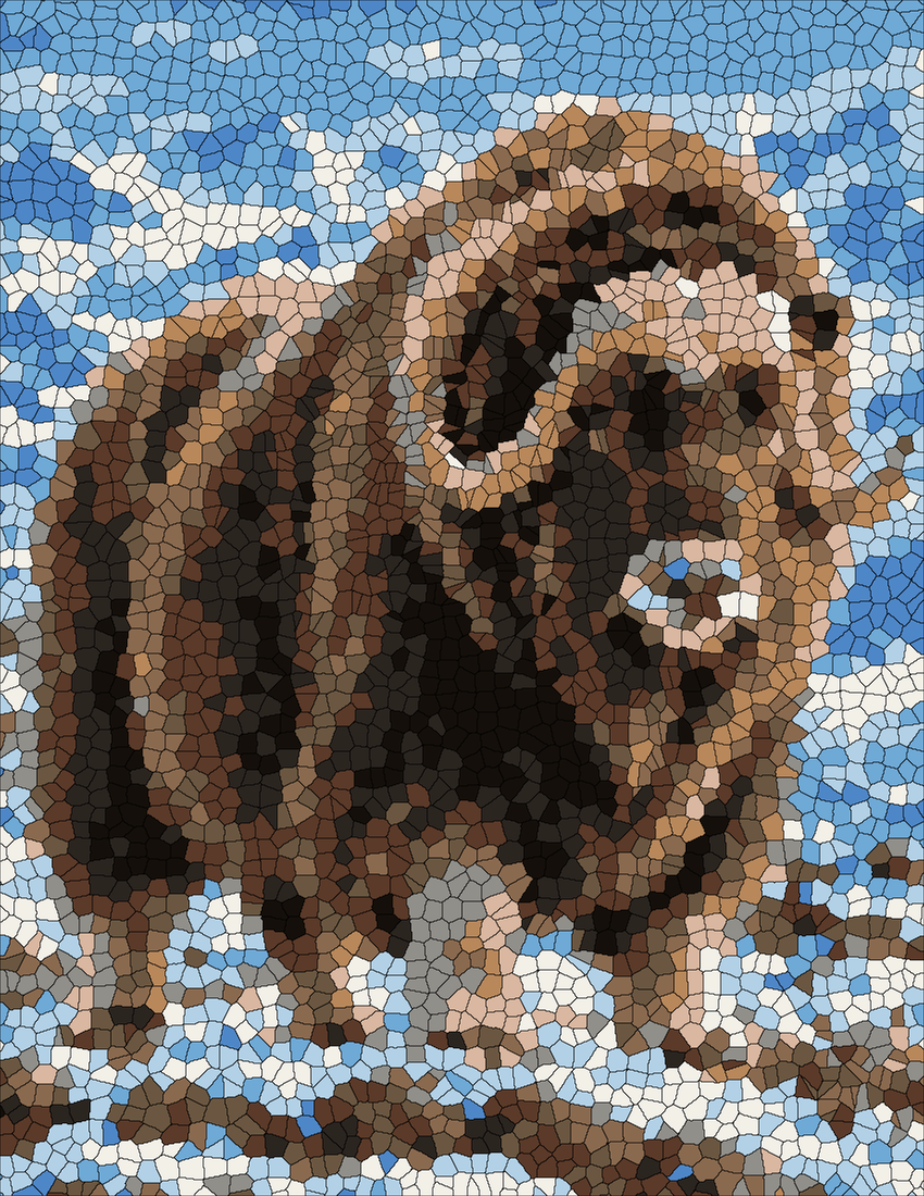 Musk Ox mystery color by number finished colored answer