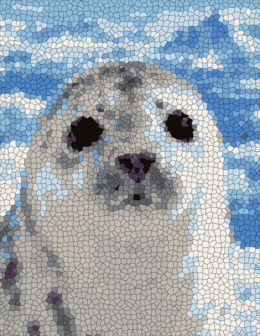Harp Seal portrait mystery color by number finished colored answer