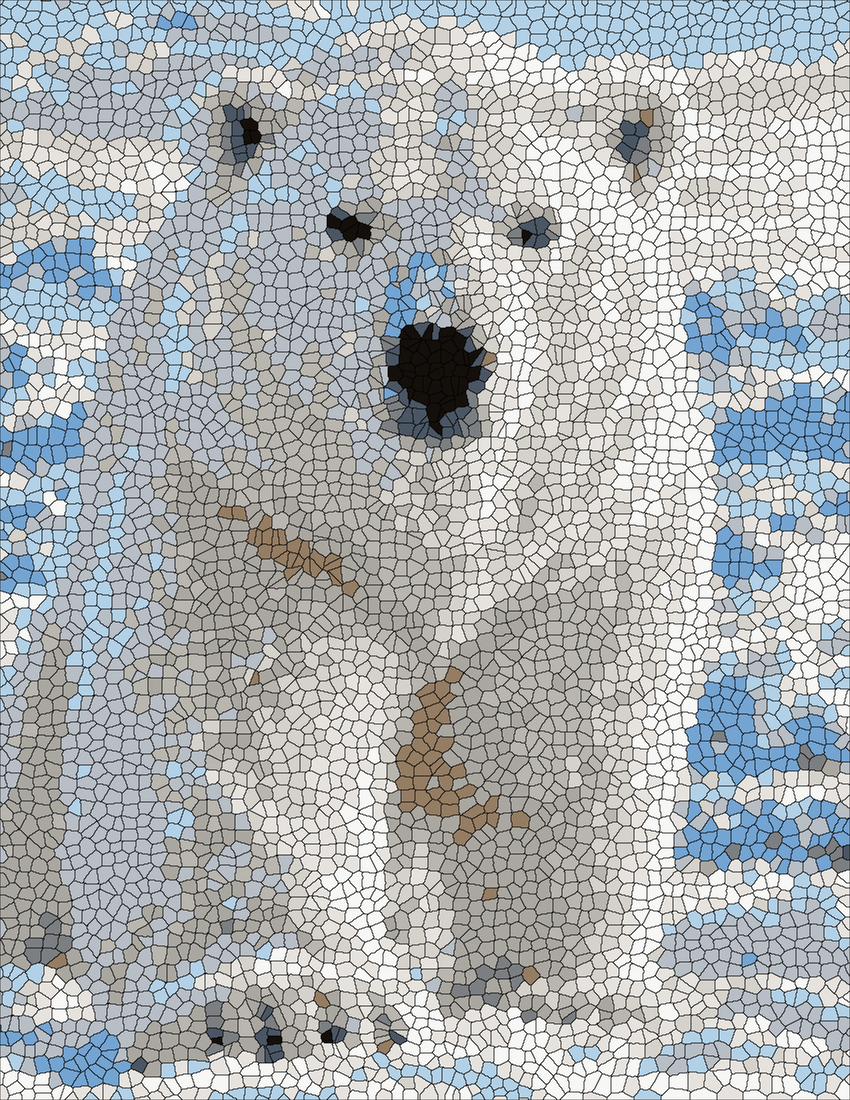 Polar Bear mystery color by number finished colored answer