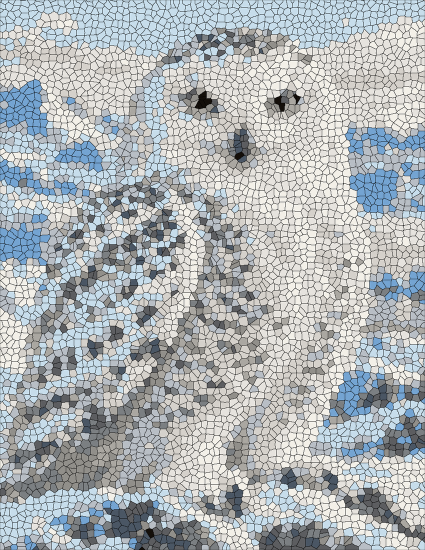 Snowy Owl mystery color by number finished colored answer