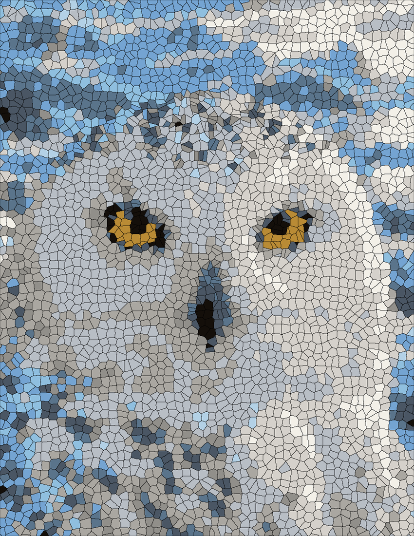 Snowy Owl Portrait mystery color by number finished colored answer