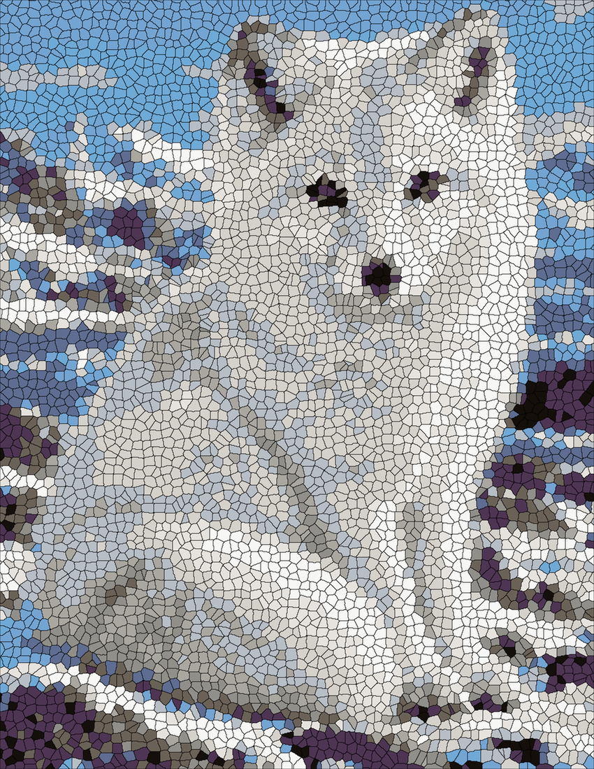 The Arctic White Fox mystery color by number finished colored answer