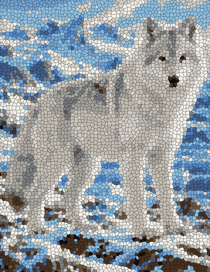 The Arctic Wolf mystery color by number finished colored answer