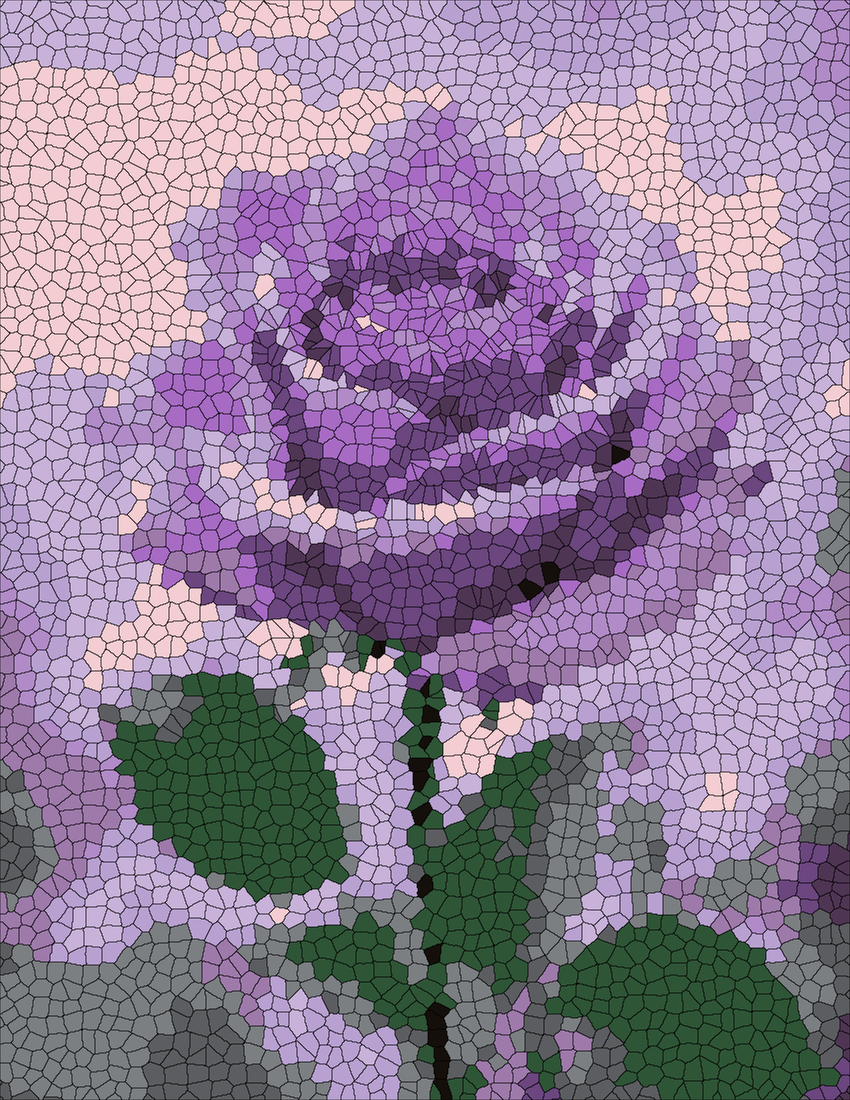 The Purple Rose mystery color by number finished colored answer