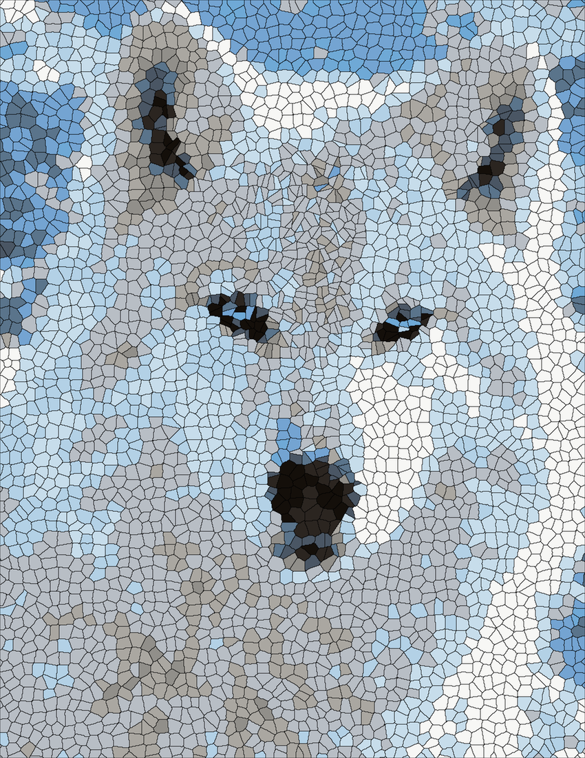 The White Arctic Wolf mystery color by number finished colored answer