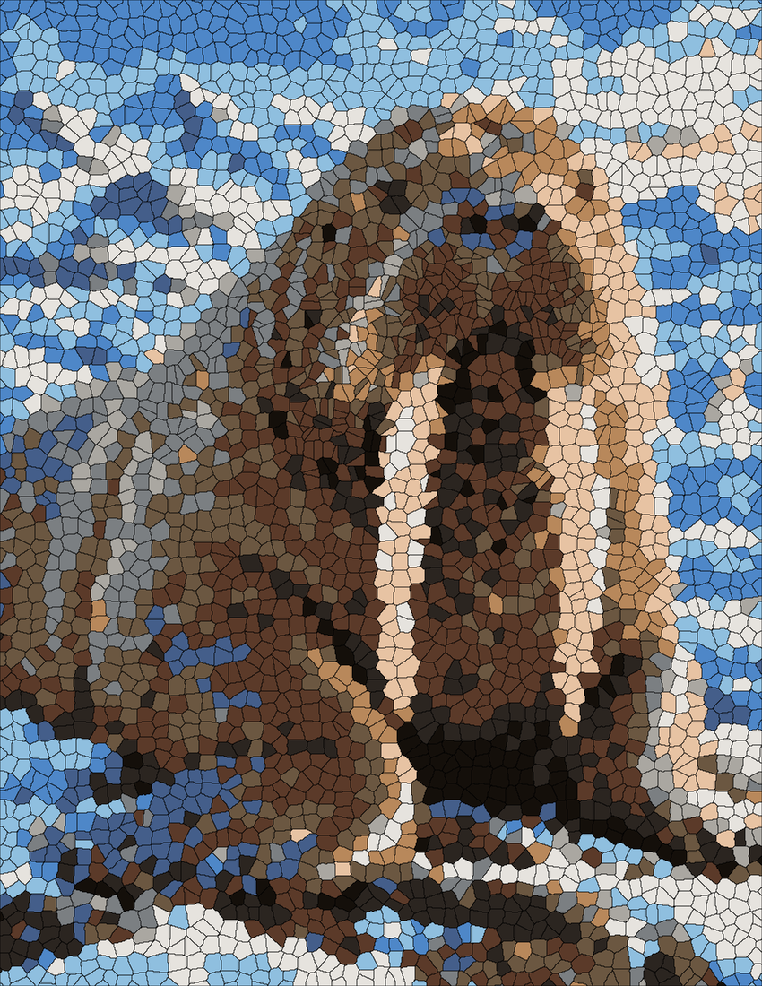 Walrus mystery color by number finished colored answer