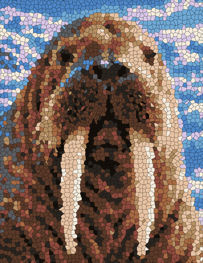 Walrus US face mystery color by number finished colored answer