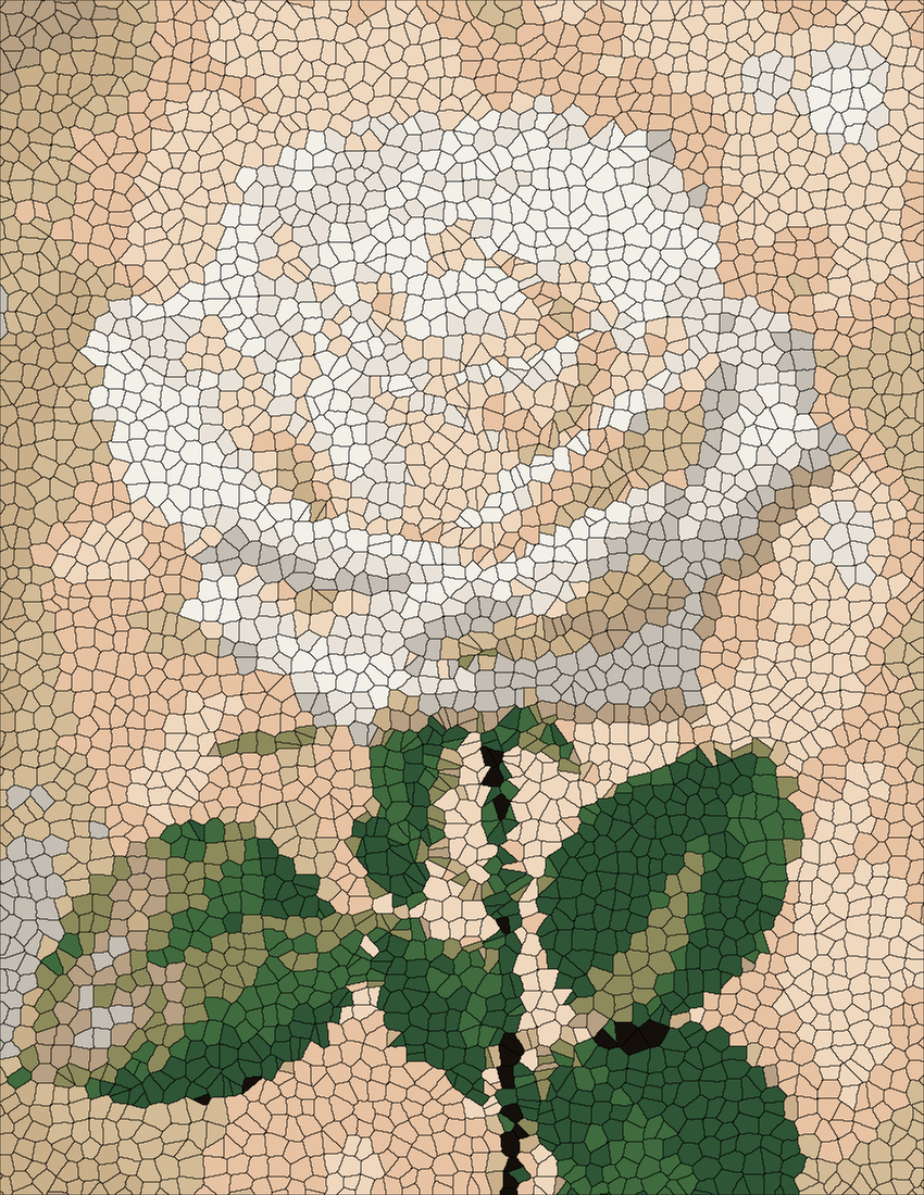 White Rose mystery color by number finished colored answer